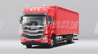 江淮格尔发A5W LNG 4x2大型载货车图片